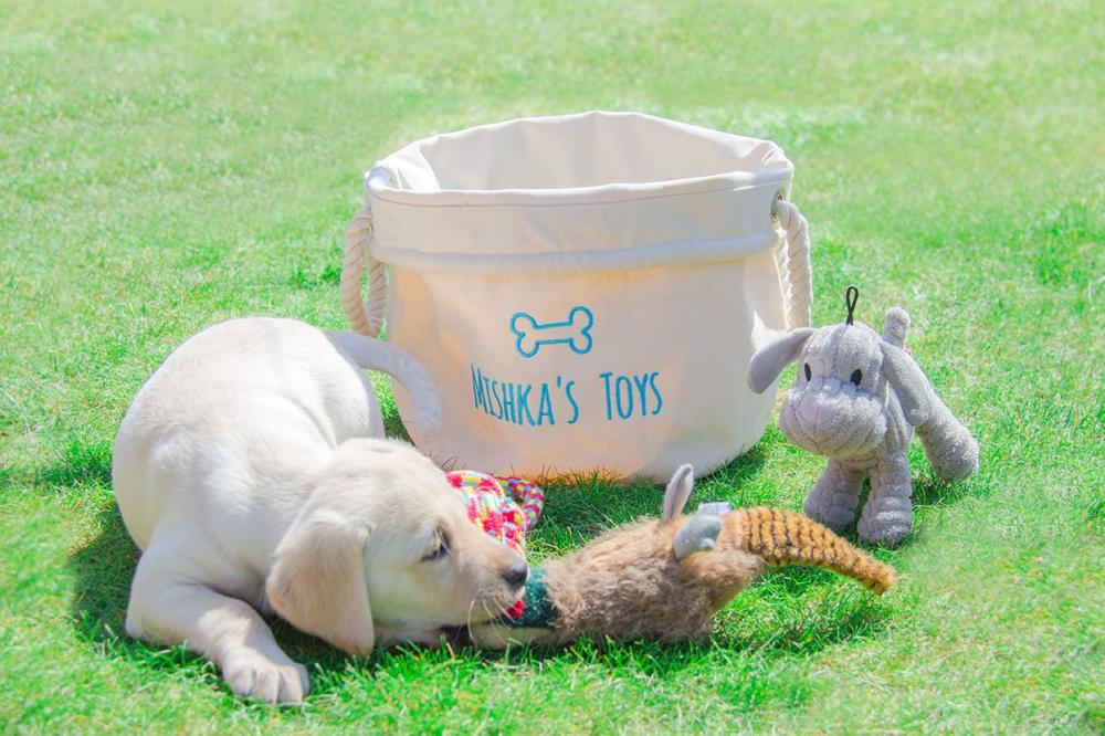 Dog Toy Storage Basket