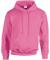 Azalea Gildan Heavy Blend Hooded Sweatshirt (GD057)