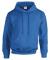 Royal Gildan Heavy Blend Hooded Sweatshirt (GD057)