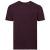 Burgundy Russell Authentic Tee (J108M)