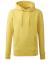 Colour name Men's Anthem Hoodie