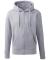 Colour name Men's Anthem full-zip hoodie (AM002)