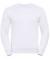 Russell Set In Sleeve Sweatshirt (J262M)