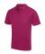 Colour name Cool Polo (JC040)