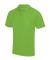Colour name Cool Polo (JC040)