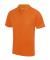 Colour name Cool Polo (JC040)