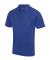 Colour name Cool Polo (JC040)