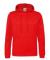 Fire Red AWD Sports Polyester Hoodie (JH006)