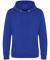Royal Blue AWD Heavyweight Hoodie (JH101)